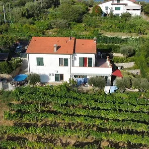 In Vino Veritas איטליה
